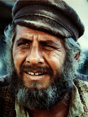 Picture of Actor: Topol