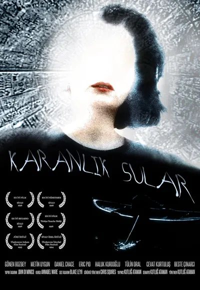 Film poster: Dark Waters