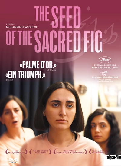 The Seed of the Sacred Fig