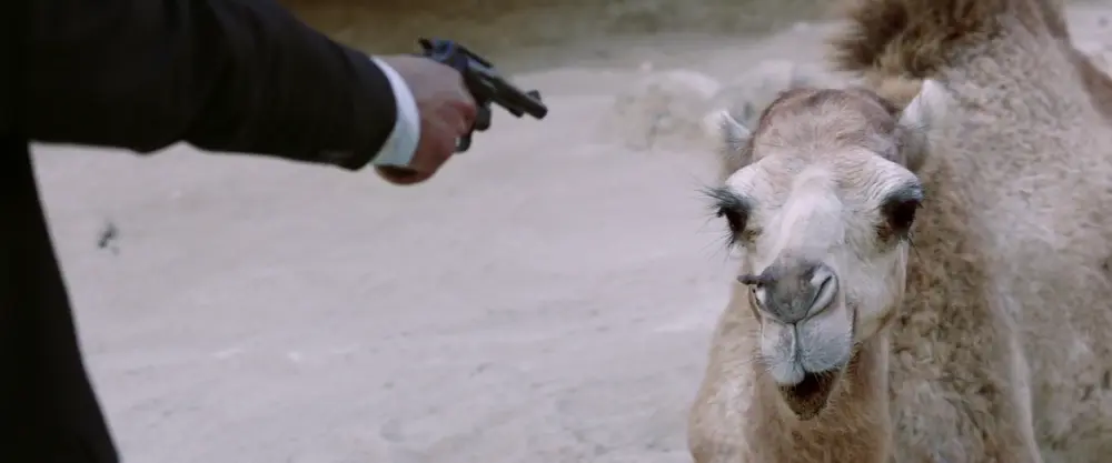 A Dragon Arrives! - film still