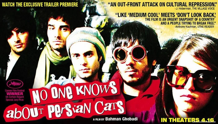 No-on Knows About Persian Cats
